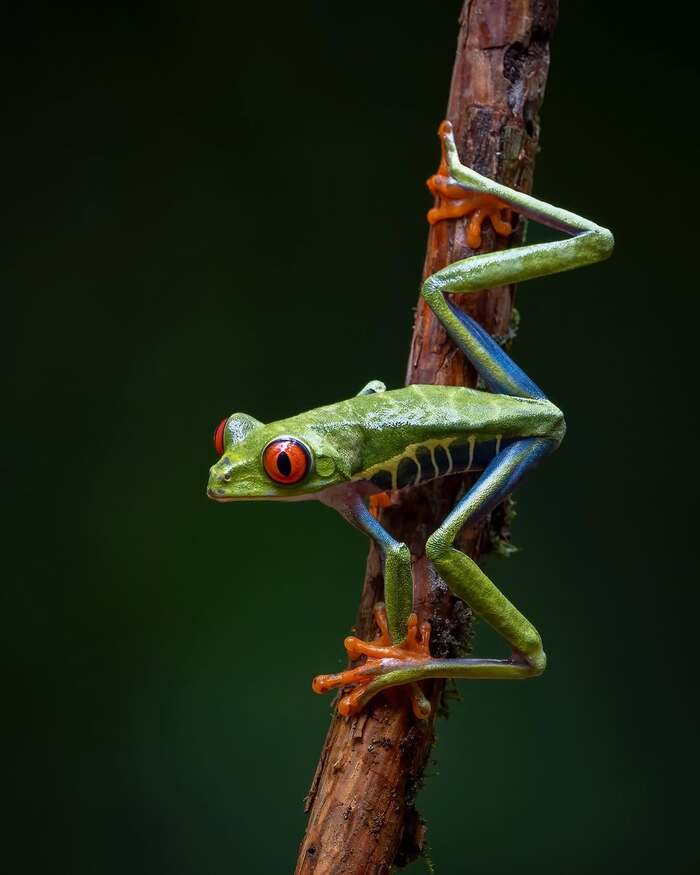 ������������ ������