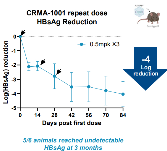 ��������������� ������� ������������ �������� HBsAg