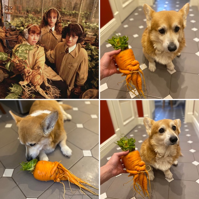 ���� ������� ������� ��� ���������� �����, �� ��������� ��� ����� ����������:)) 