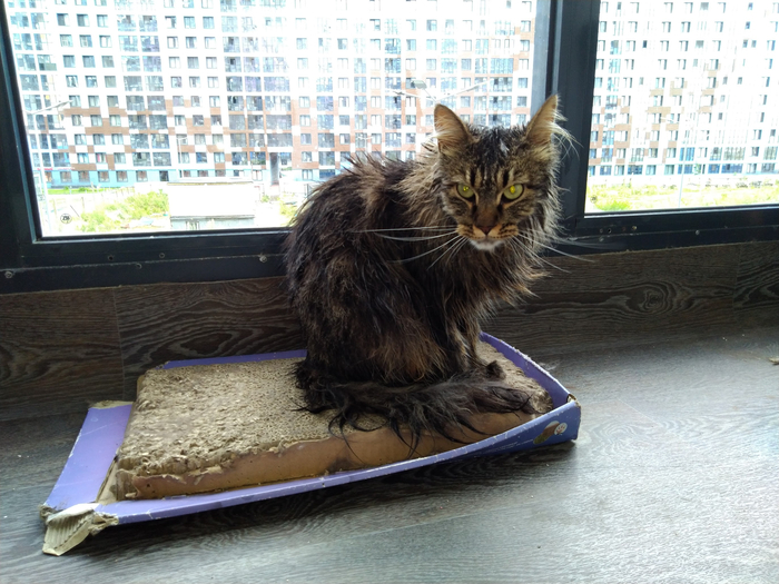 ����� 1680710t � ���������� �� �� ������ ������� ���� ����. ���� � �� ��. ������� � ������ ����. �������� ���!�