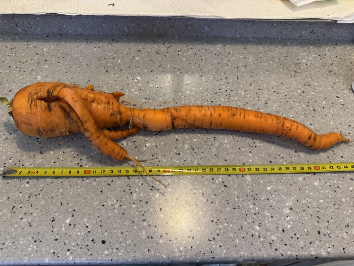 ���� ������ ����� ���������� ���� �� �����. 