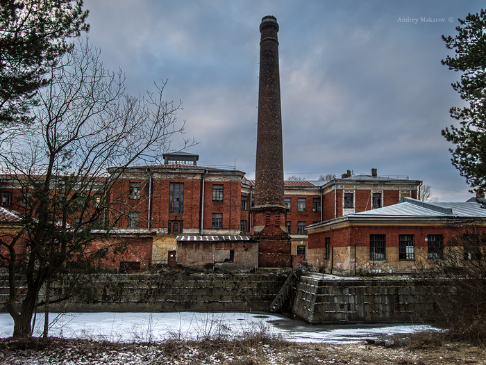 ���������. ������� 2025