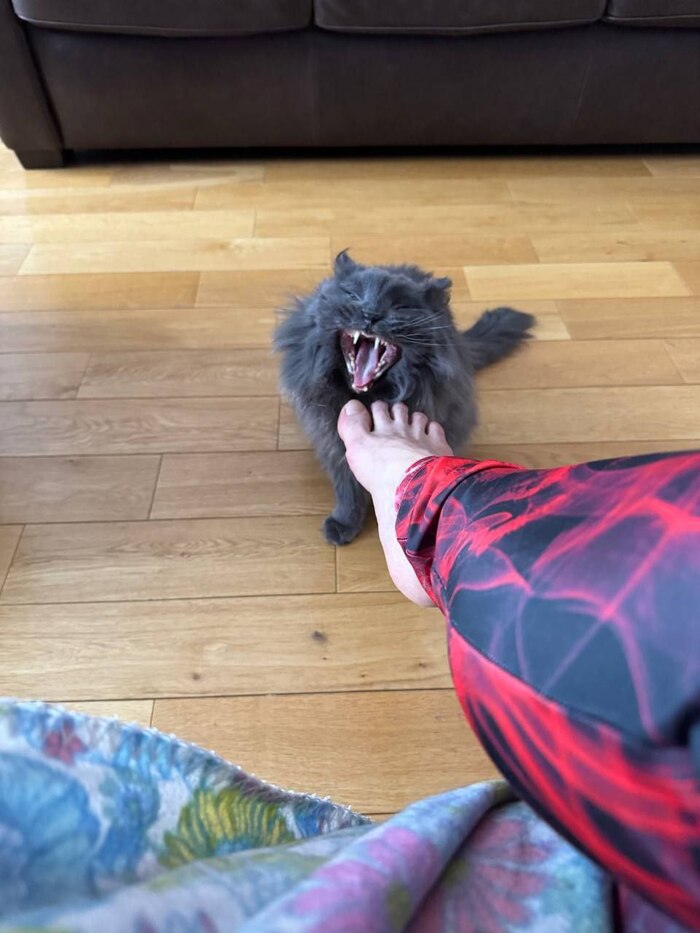 ������ ���� ����