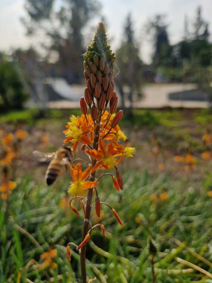 ������� ������� 23�