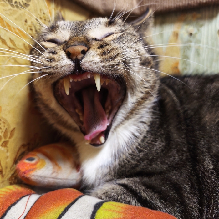 ��-�-�-�-�-�-��!