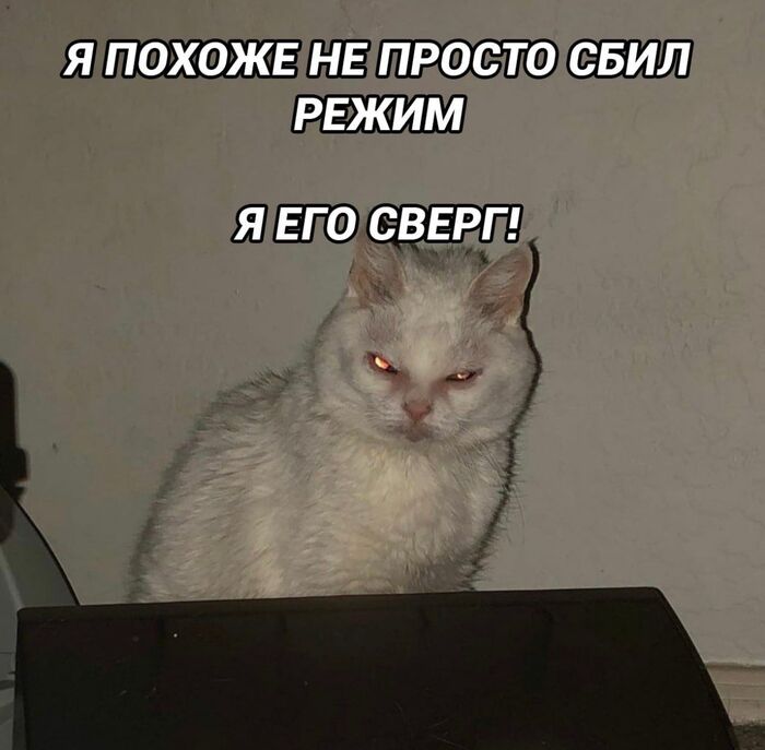 ����� ���