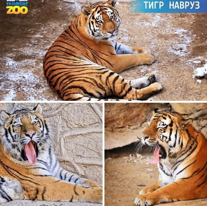 ����� �� ���� ����������� �������� ����� � ������ ��������, �������� �� "�����������"�