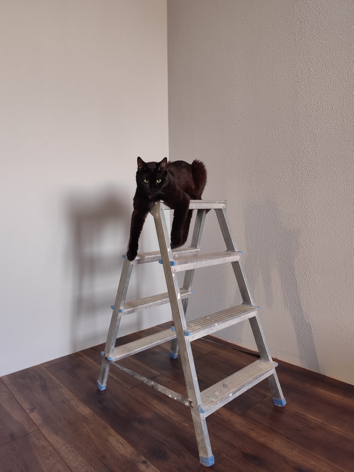 ����� �� ���� ��� ����� ���� ����. ��� ��� ��