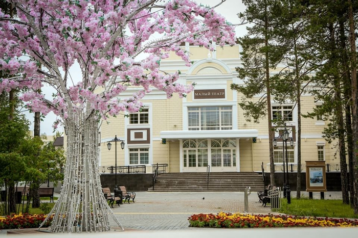 ������ ������ ������