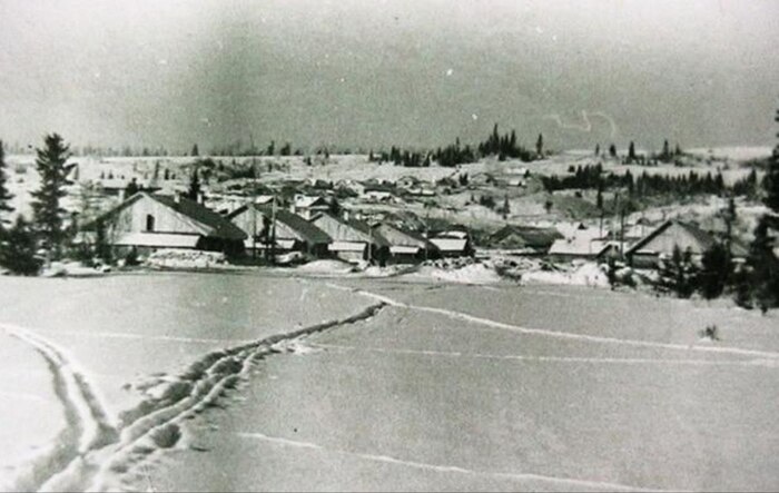 ������� �������� ������. ����������