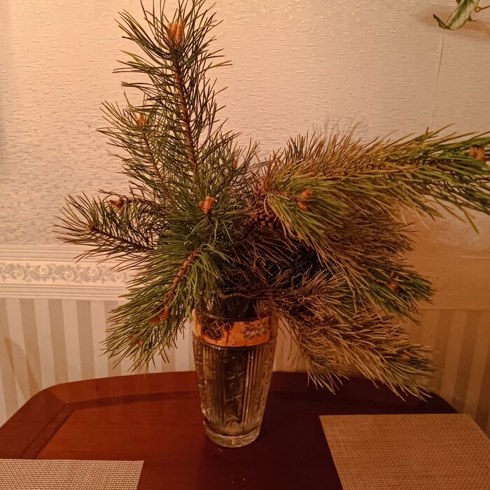 ������� �������?