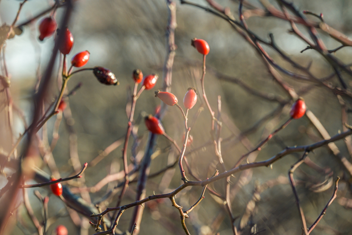 ��������.