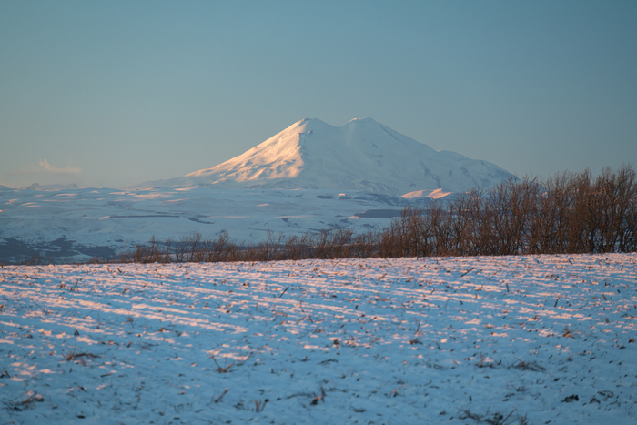 �������. ��� � ������ ����������-����������� ����.