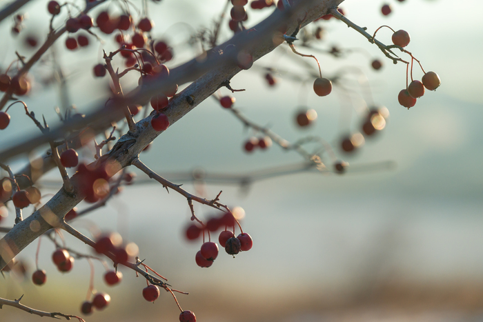 ���������.