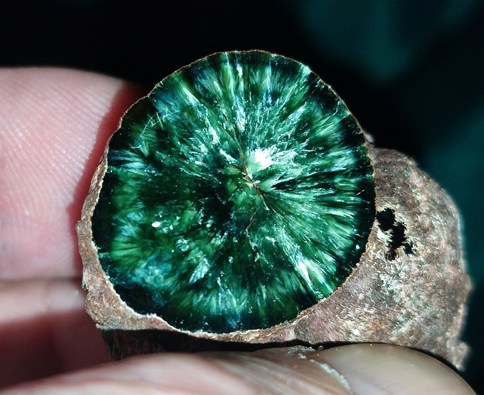 ���� ������������� �����. ������� - 2,5 ��. ������������ �������������