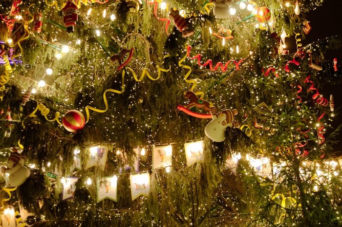 ��� �������� � ����������