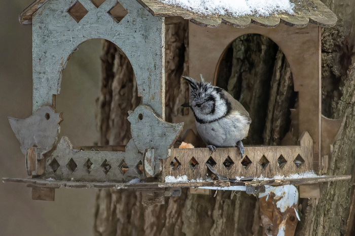 �������������� �� ���� ����� �������. ������� ���������� ����� �� �����������.