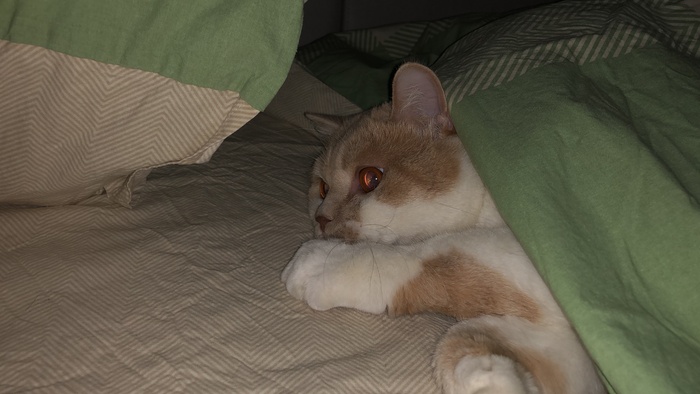 ��� ������ ���� � ������, ����� �� ����, �� �������! ����� �� ������ ����, ������, 7 ������ ����� 10 ���, ��� ����� � ����!