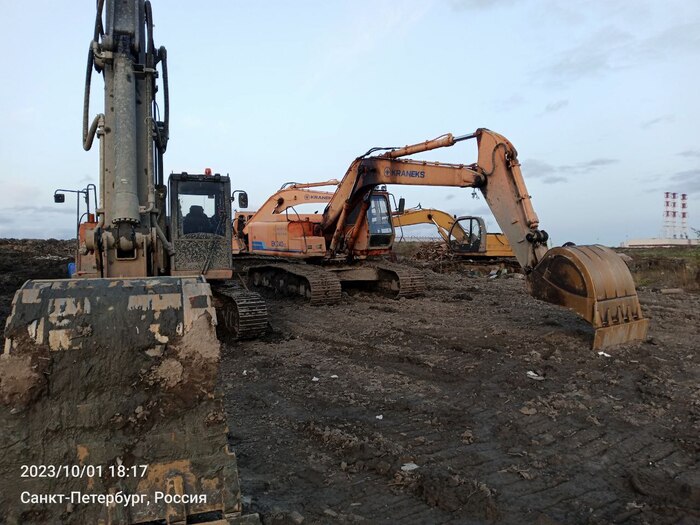 ���� ������� �������.