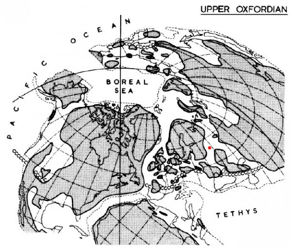 ������� ����� ������.