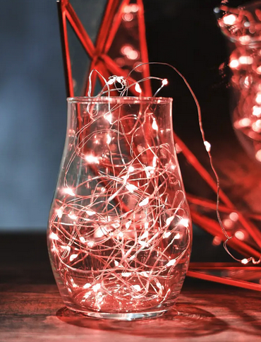 ��������(5�.)