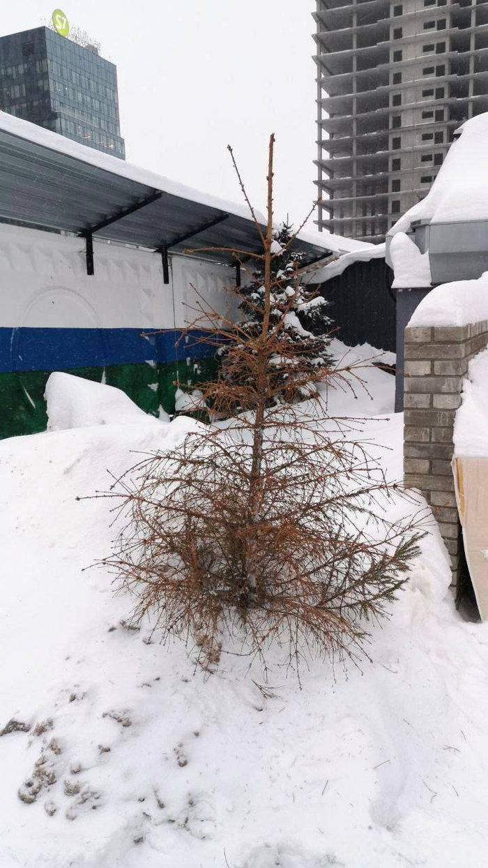 ���������� 2025! ;)