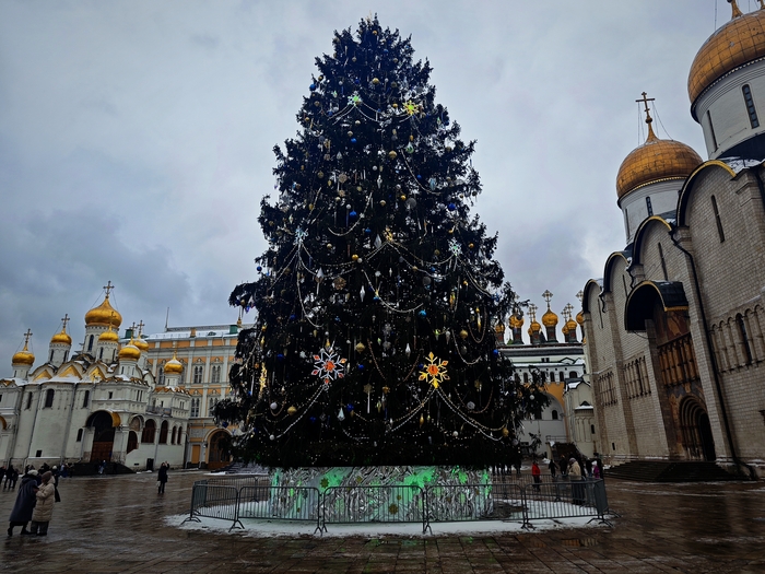 ����� ������� ���� ������ 2026