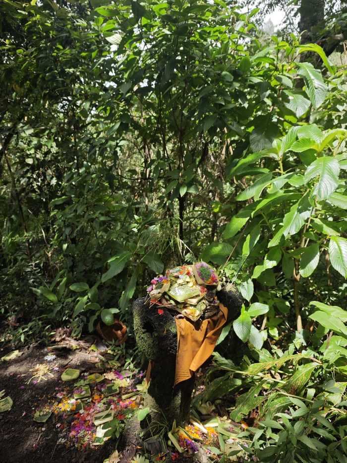 ����������, ��� ����