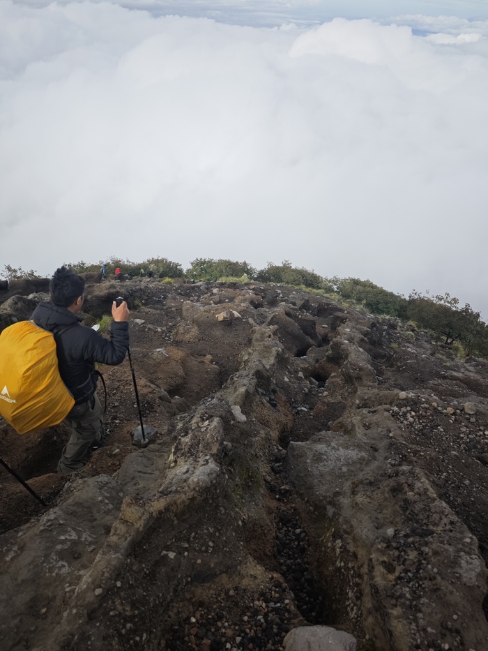 ������, ��� �� ����� �� ������ ����� �����������