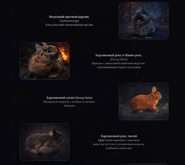 ����� ����� � ������ � ��������