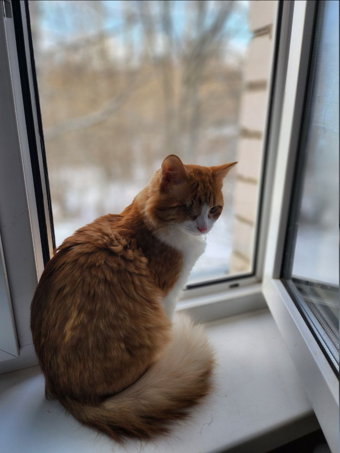 � � �� �� ������ ����������? � ���, ������ ����������. � ����������������!