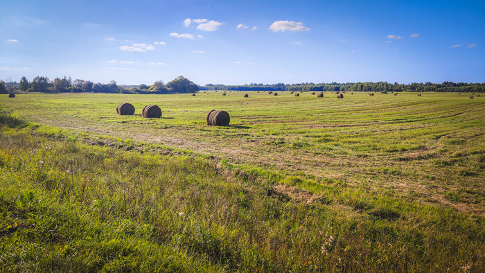 ��� ������ ���������. ��� �������� ����� ����� ��������� ������� �������. ���� 5. ����������� ��������� ������� - ������