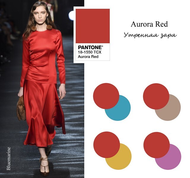 ����� ������� ��������� �������� �������