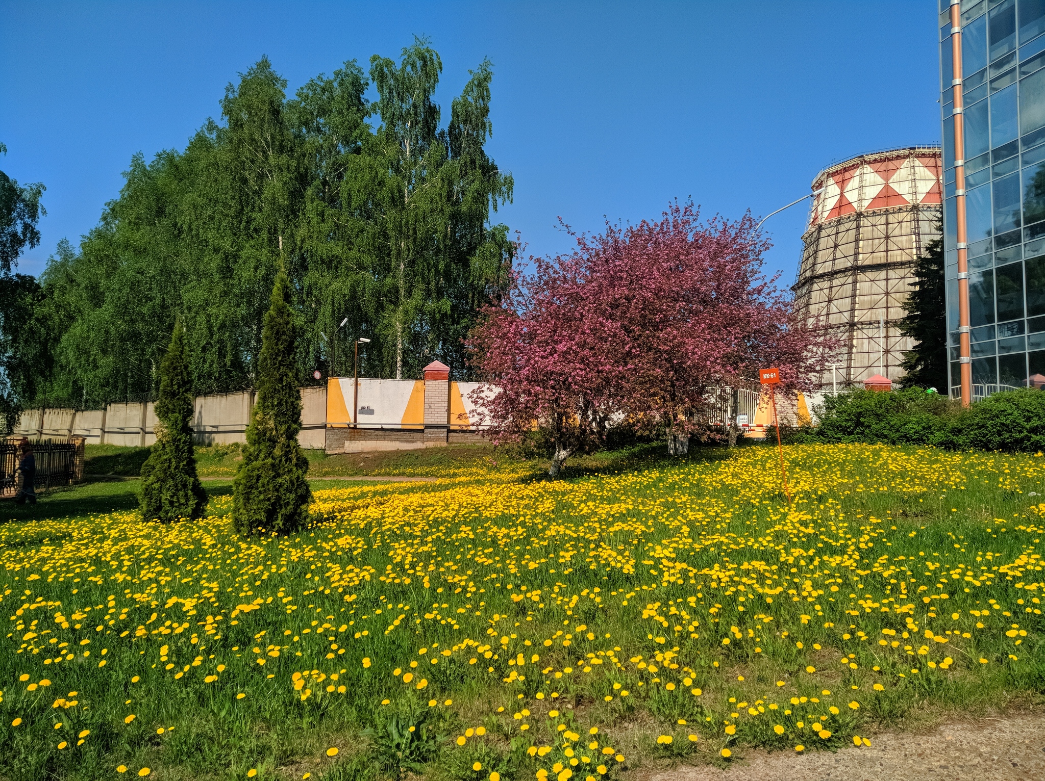 May 2020 - My, Spring, CHP, 2020, Flowers, Nature