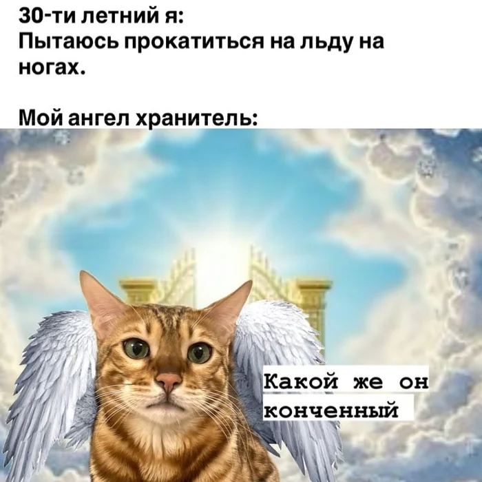 vxpkxg76.webp