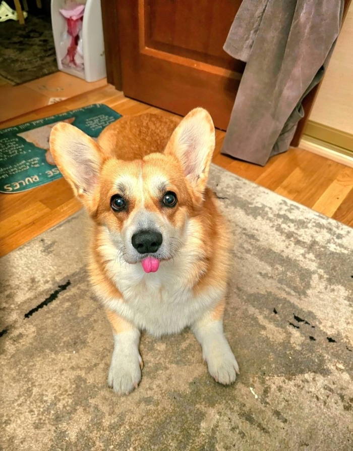 ����� �� ���� ��� ������ ���� ������ � ���� ����