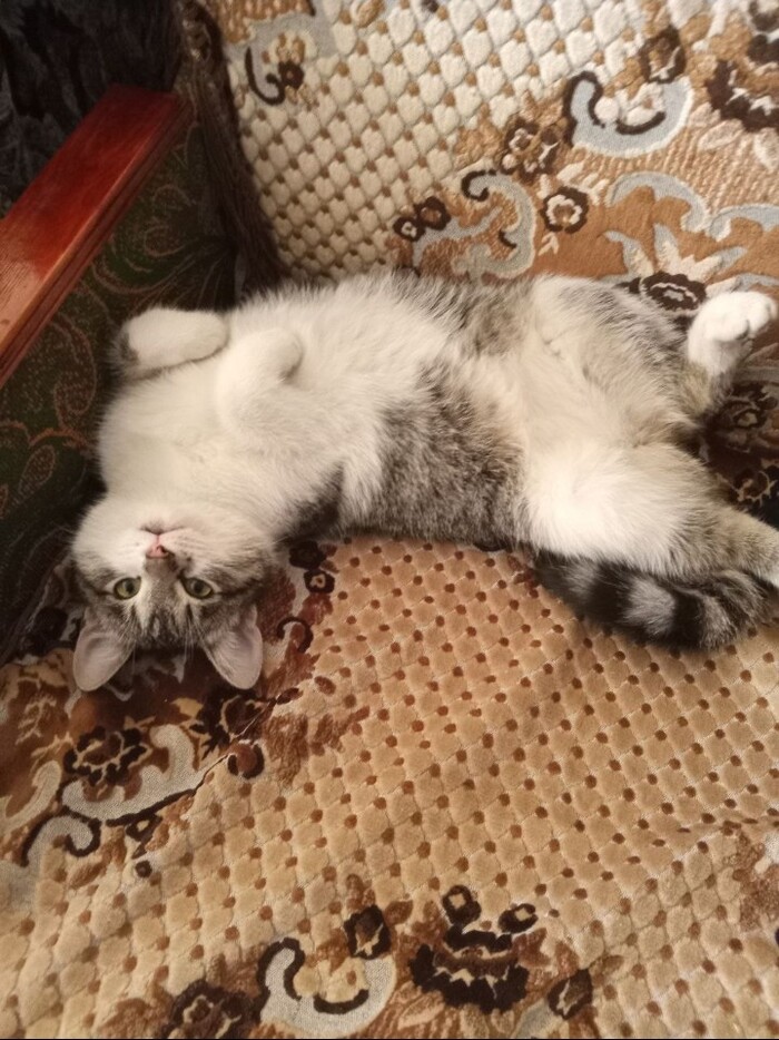 P.s. �� ������� �� �������� ���� 3 ������