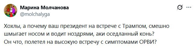 ����� �������� �������� �����������