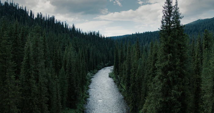 ������ ������ (����� 1)