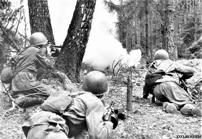 ������� ������ ����� ����� ������, ������ ����� ����� ����� �������� �����