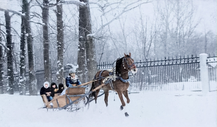 ��������: �. ��������