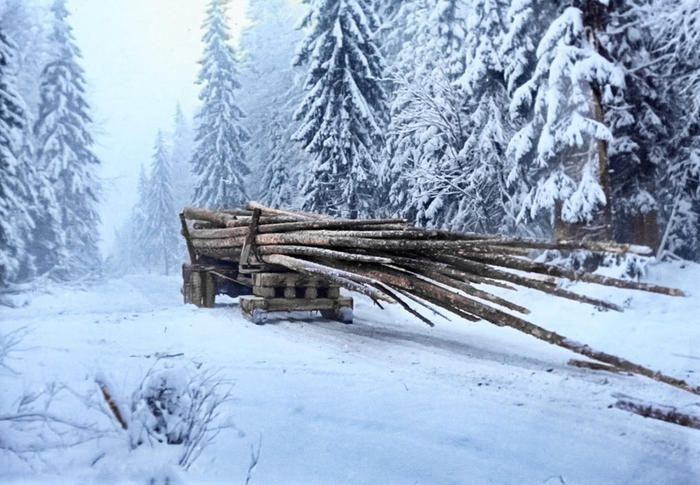 ��������: �������� ��������