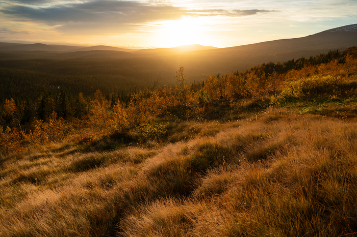 ��� � ������ ���������