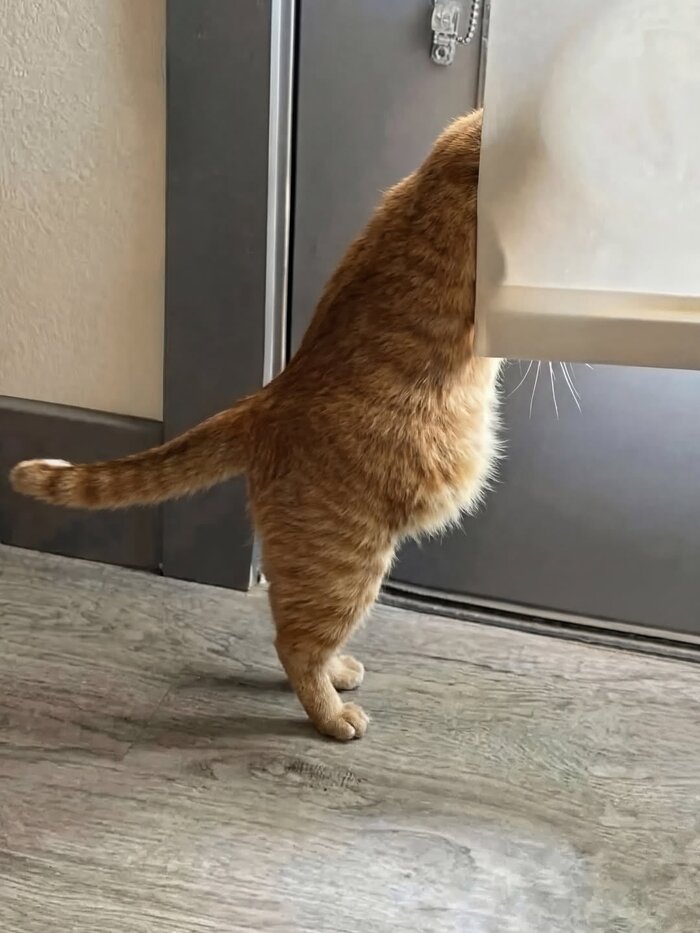 ����� 1 ������