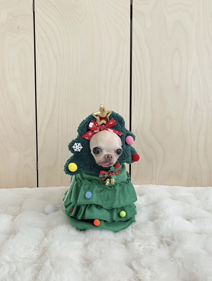 ����� ��� � ����� � ����