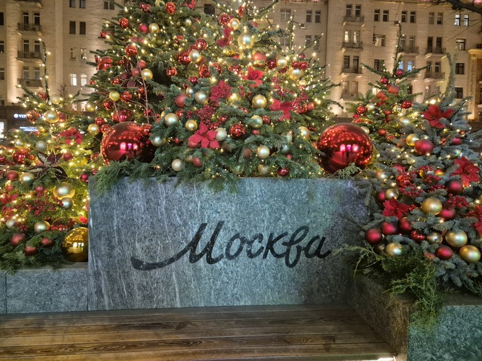 ������. ������� 2025.2