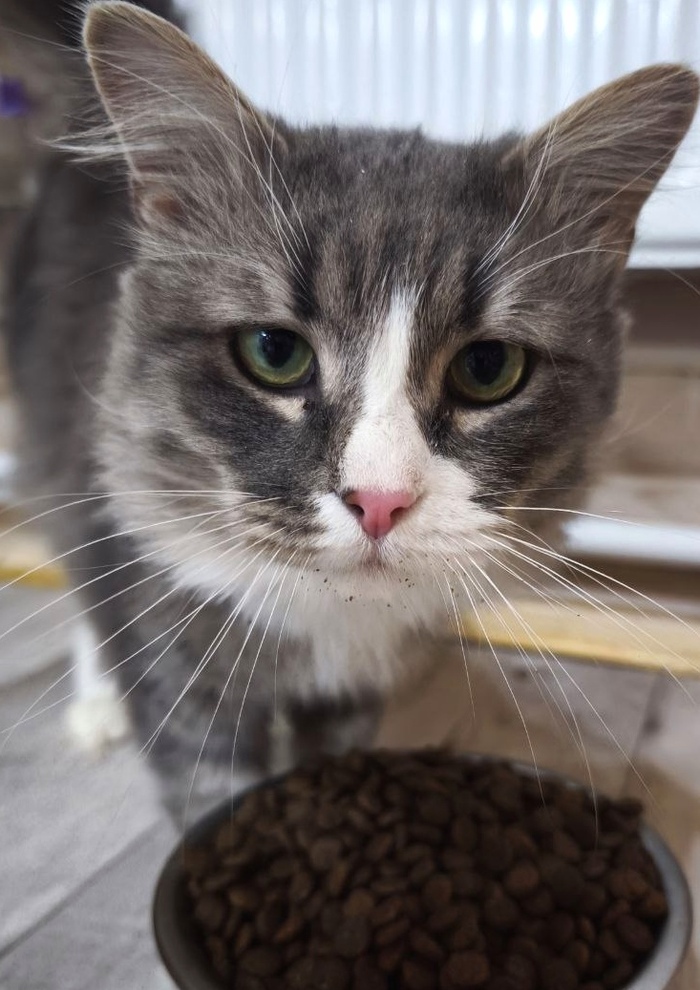 ����� ��� ���� ���