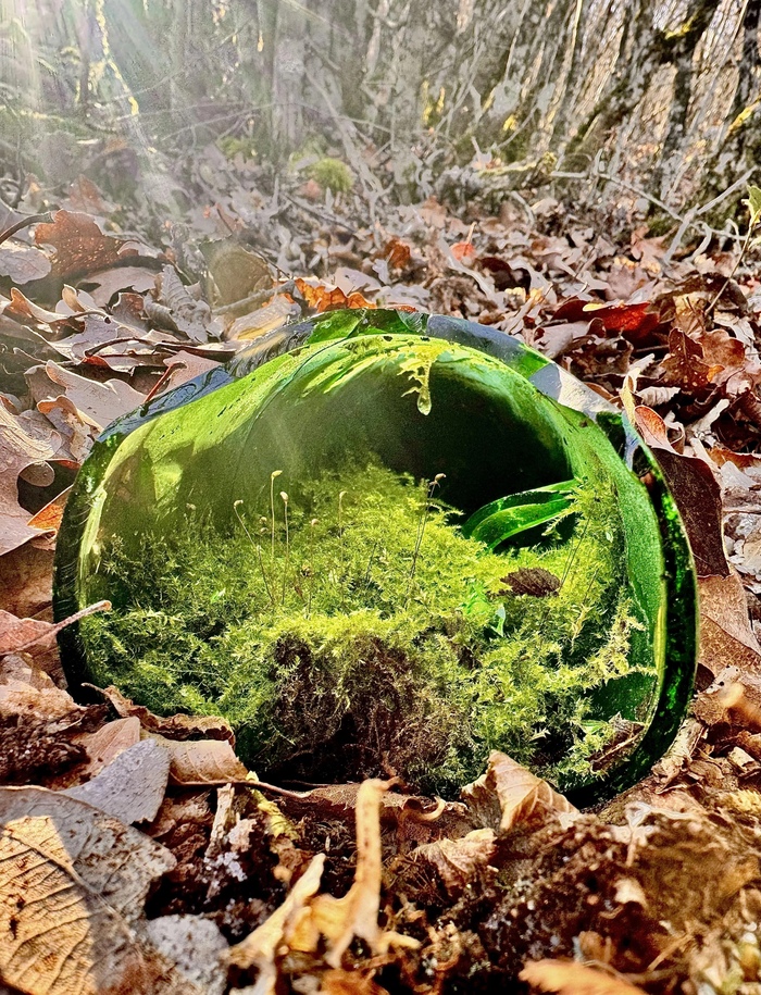 �������� � ������ �������