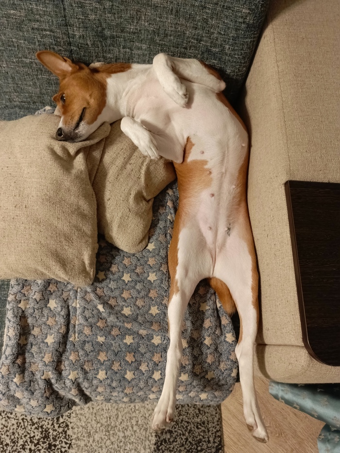 ����� �� ���� ��� ������ ���� ������ � ���� ����