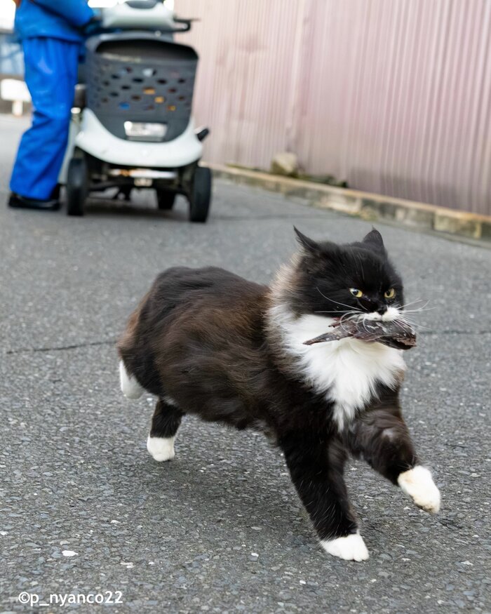 <!--noindex--><a href="https://pikabu.ru/story/ryibovoe_13550821?u=https%3A%2F%2Fx.com%2Fi%2Fstatus%2F2005458507160826112&t=https%3A%2F%2Fx.com%2Fi%2Fstatus%2F2005458507160826112&h=3f300bbc2e58d97a25a68386ef6f94f22f27df86" title="https://x.com/i/status/2005458507160826112" target="_blank" rel="nofollow noopener">https://x.com/i/status/2005458507160826112</a><!--/noindex-->